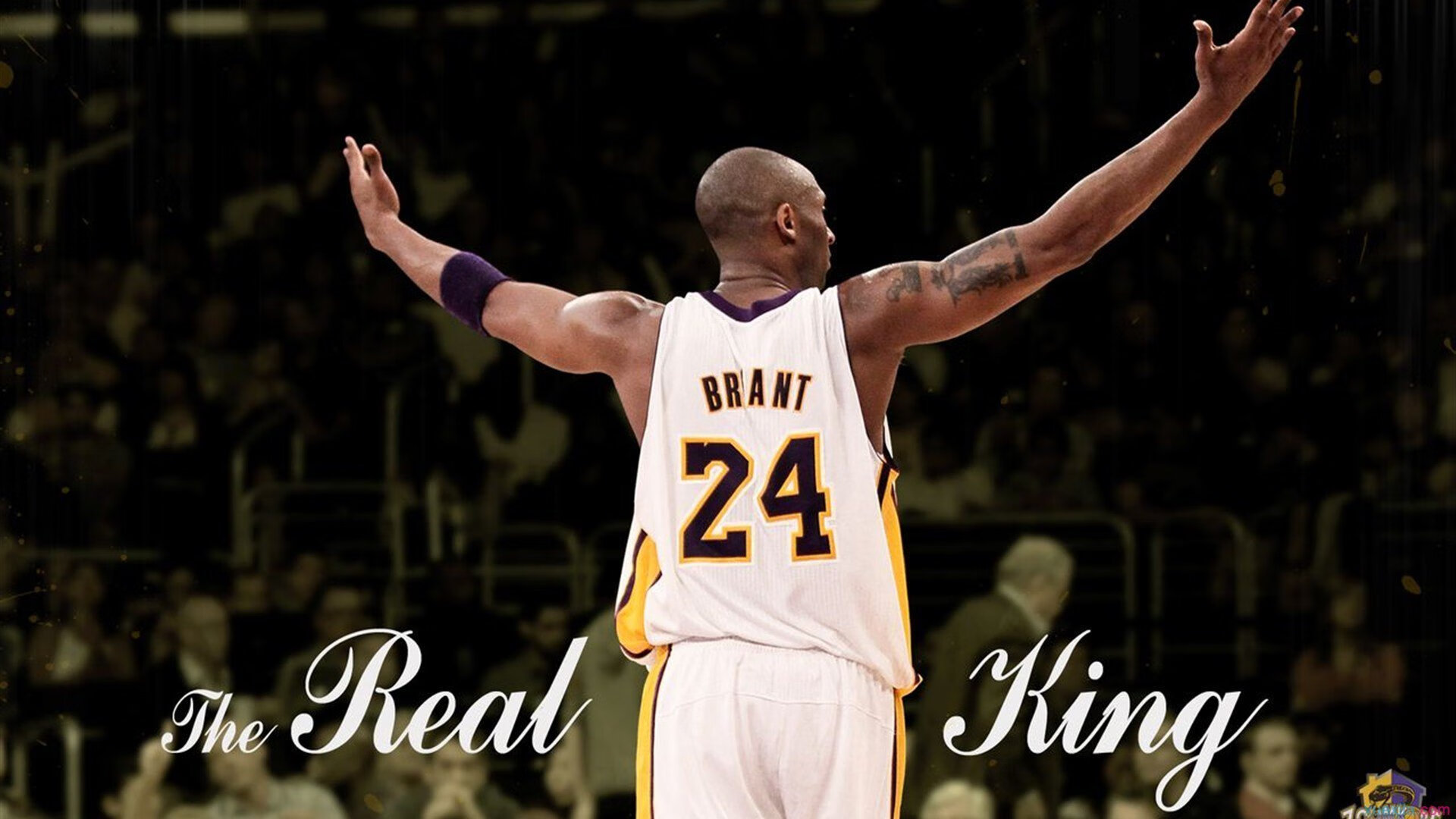 2026世界杯焦点战，当灰熊拿下湖人，世界篮球的版图正在裂变